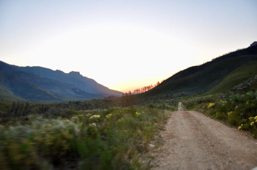 3732D6B1-FEC3-42EF-B3E5-CCD89B01539A_1_201_a