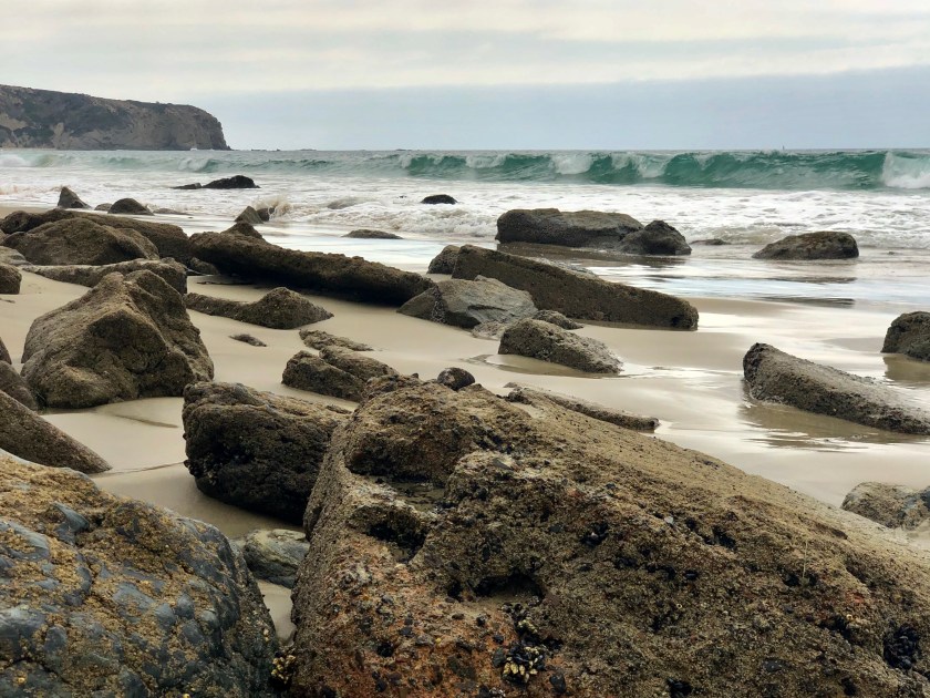 3E99C45A-5D4D-478C-BABA-AC9437D696EC_1_201_a