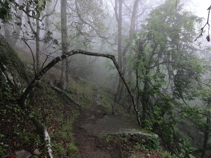 4A93D1C6-295E-4FE6-B677-6AF0F88AF354