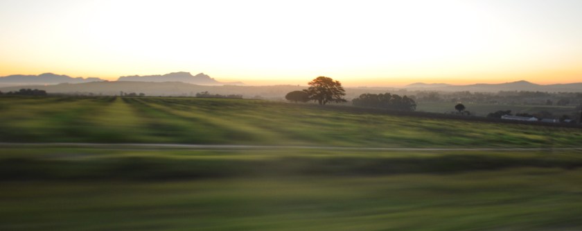 724B1EB2-7DED-4E9D-858D-91E11650B5B9_1_201_a