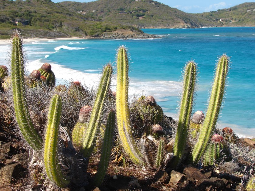 C36DC1E4-C0B8-4900-9044-E8797B19FE54_1_201_a