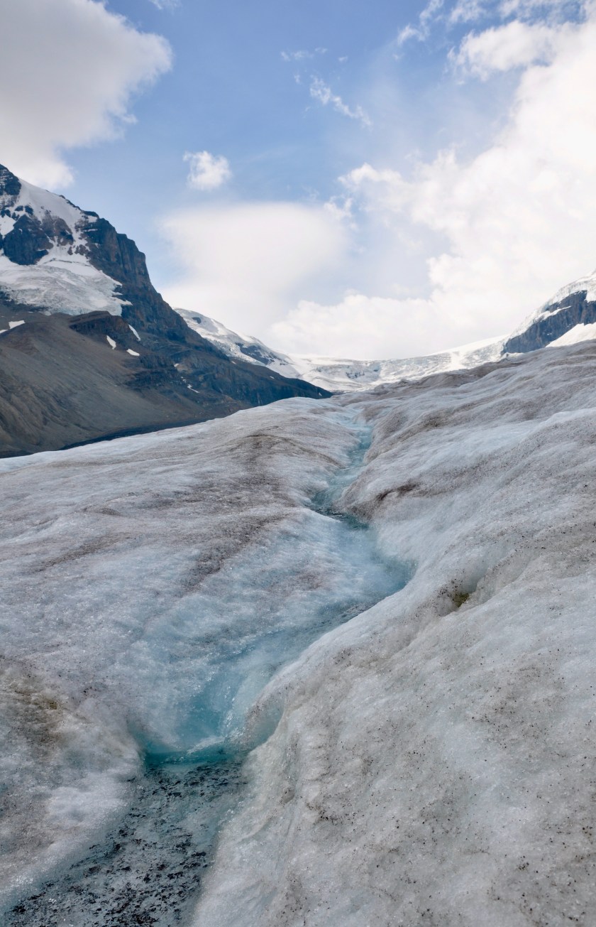 FFBD1E58-78E1-47A5-BB8A-38BA239FA417_1_201_a