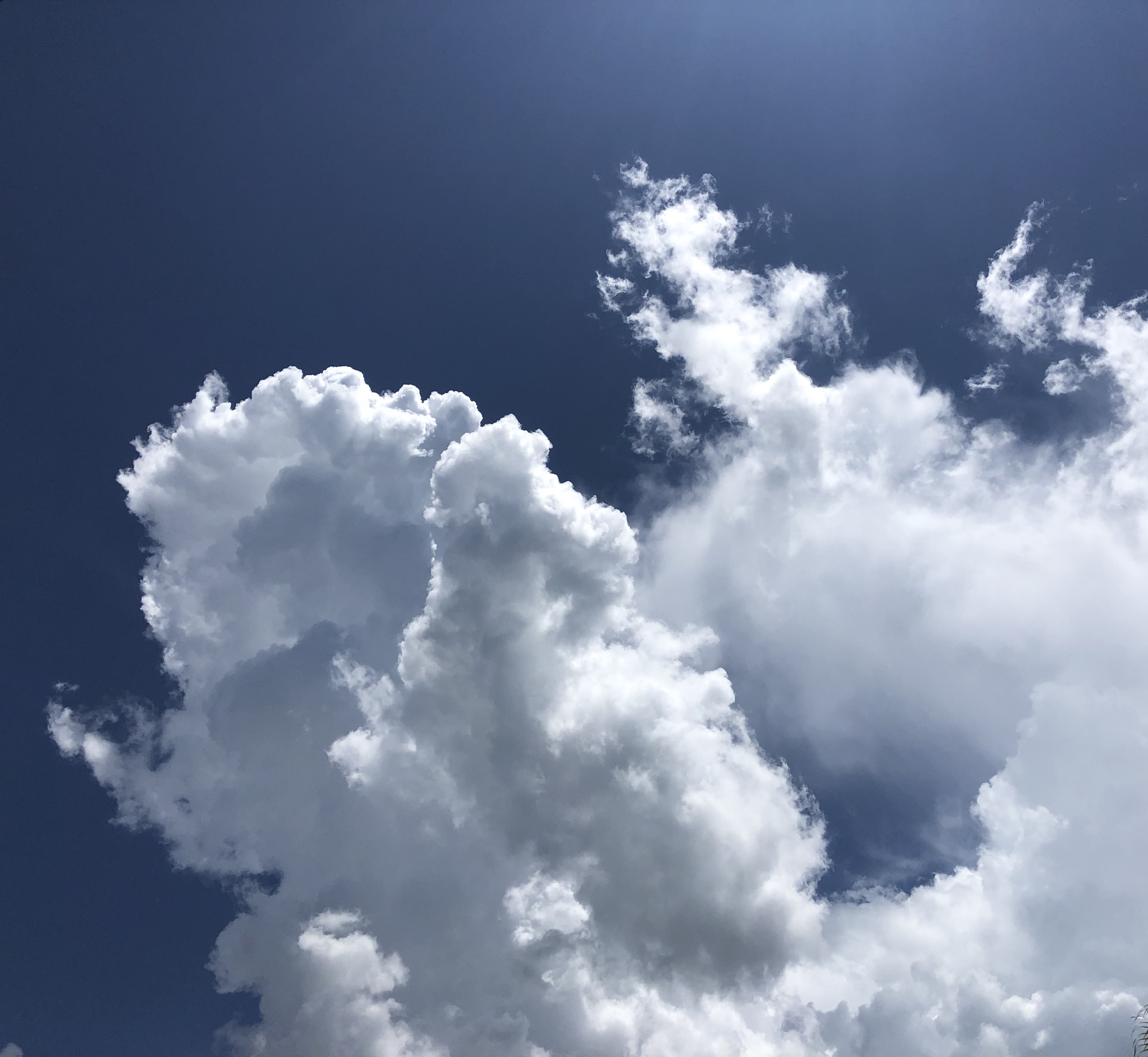 9002E39B-432B-492C-A7FB-FE9667005CDE_1_201_a