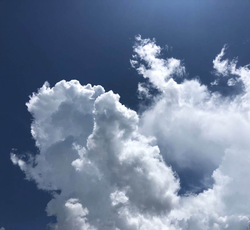 9002E39B-432B-492C-A7FB-FE9667005CDE_1_201_a