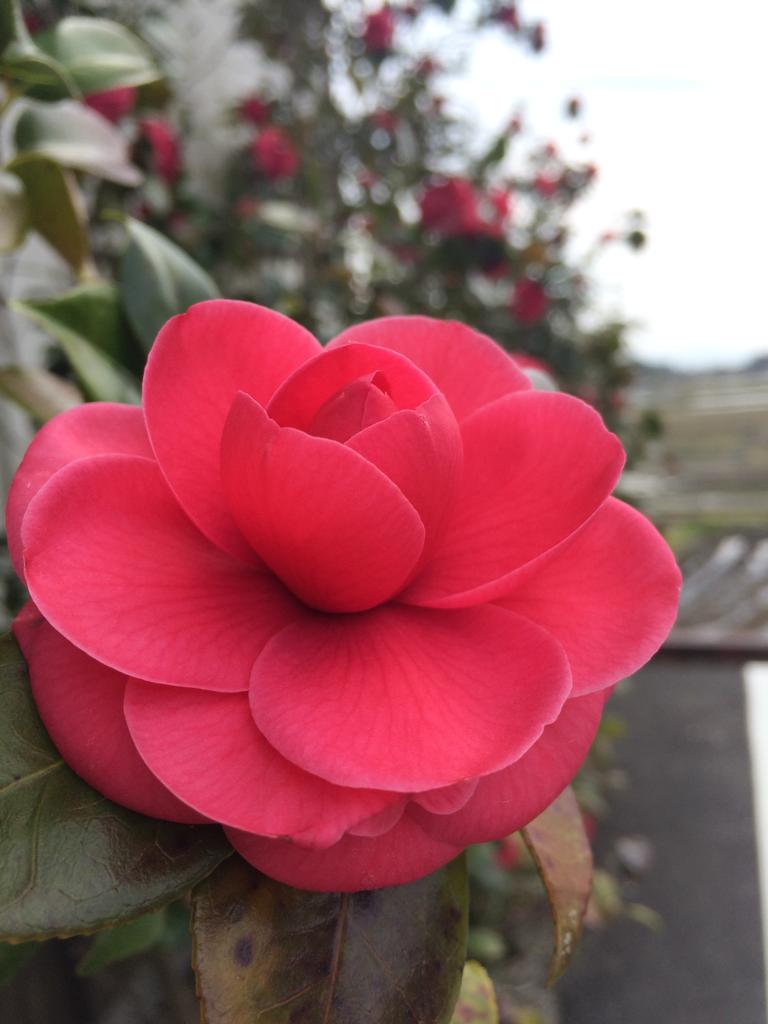 C9D1FDEB-8D0C-401D-A02D-BBBC8B0BB241