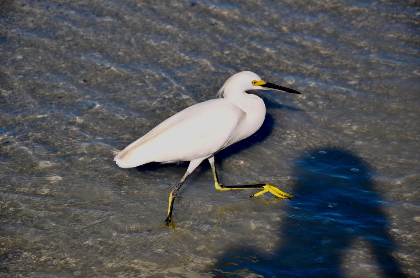 CCC5AD49-34A5-4D64-93BE-753F20EEA7D2_1_201_a