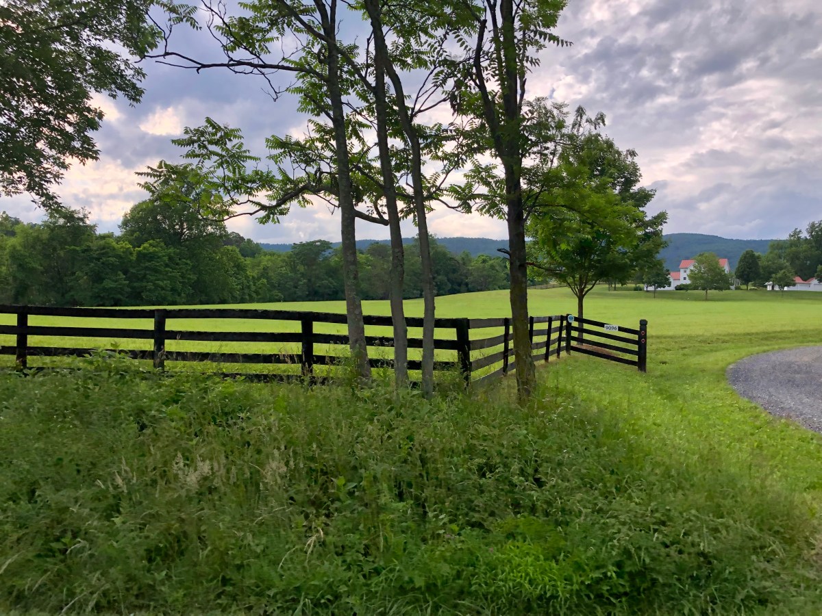 In All That You&nbsp;Undertake