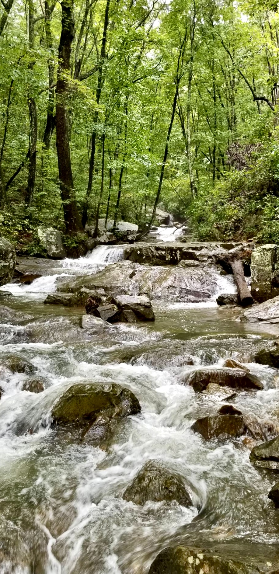 The Gift of Double&nbsp;Lessons