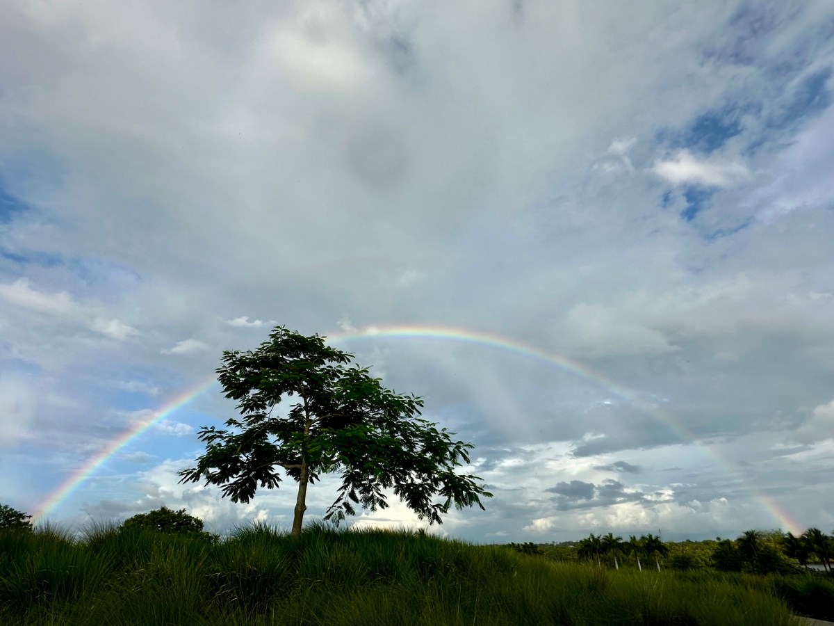 The Why and How of&nbsp;Ascribing